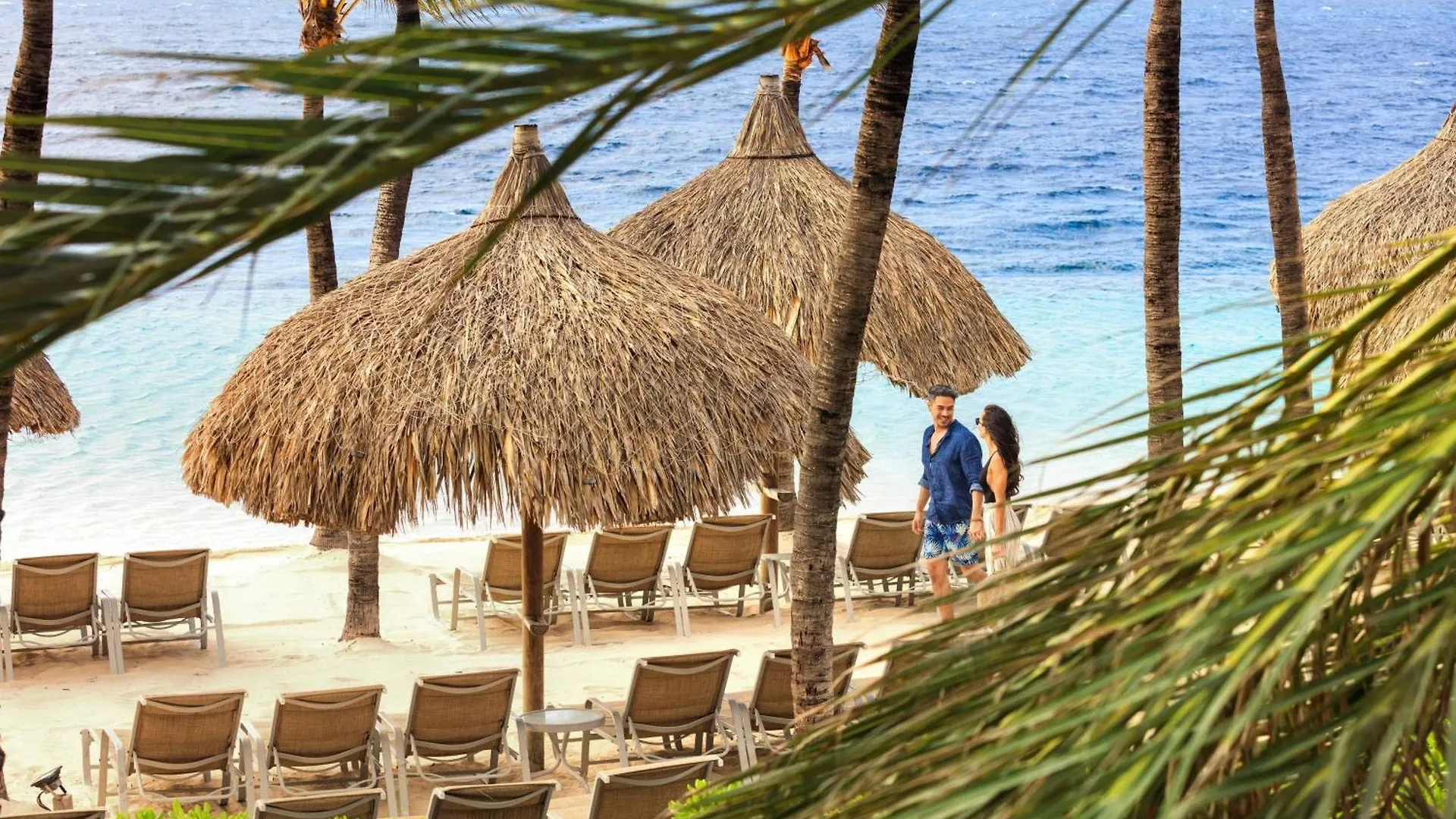 Renaissance Wind Creek Curacao Resort Willemstad